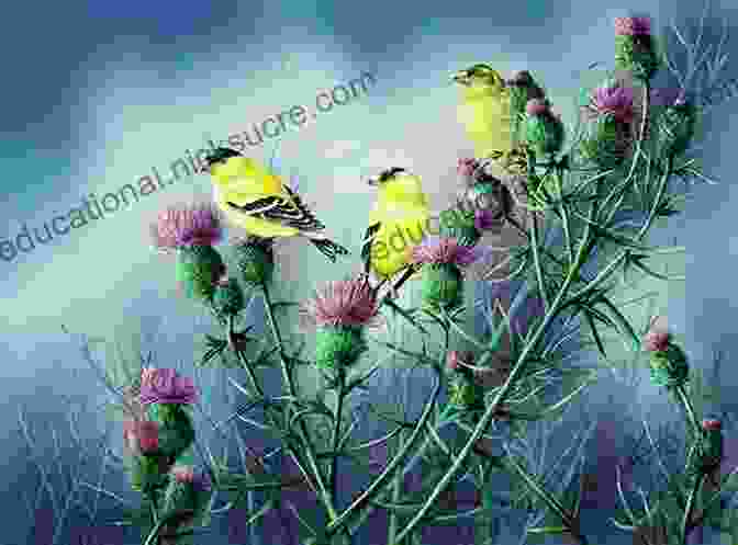 A Painting Of A Goldfinch Perched On A Thistle, With A Dark Background. The Goldfinch: A Novel (Pulitzer Prize For Fiction)