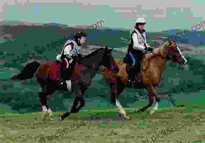 A Rider And Horse Competing In An Endurance Riding Event. Learning To Ride Hunt And Show: A Step By Step Handbook For Riders Of All Ages
