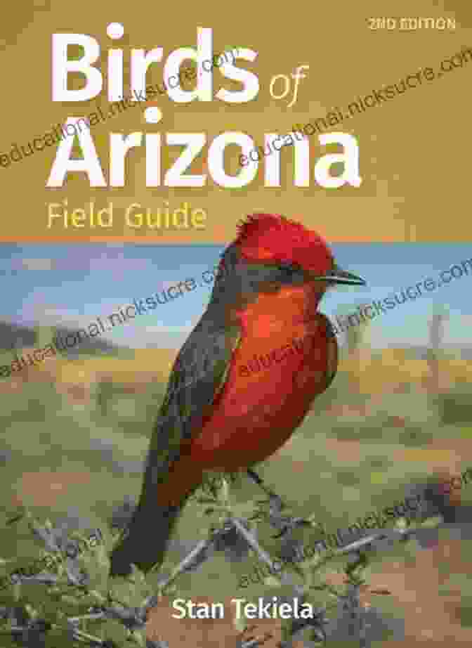Image Of Birds Of Arizona Field Guide Birds Of Arizona Field Guide (Bird Identification Guides)