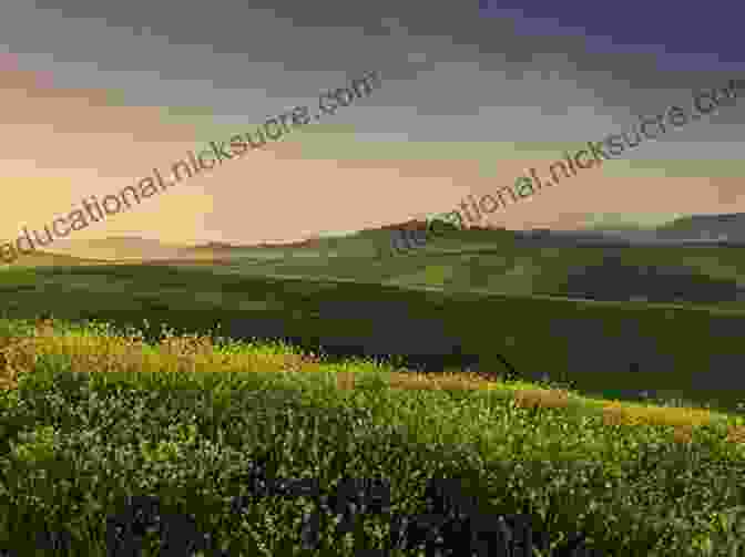 Panoramic View Of The Rolling Hills And Lush Forests Of The Borderland The Marches: A Borderland Journey Between England And Scotland