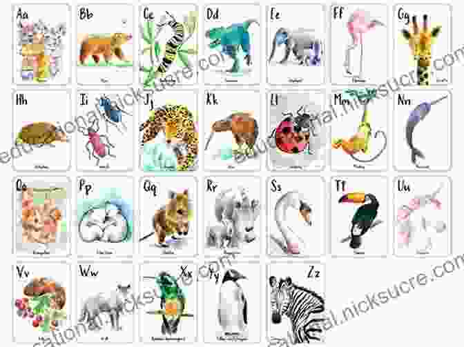 William Ma Animal Alphabet Flash Cards Enriching Language Development Animal Alphabet Flash Cards William Ma