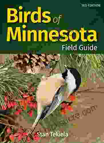 Birds Of Minnesota Field Guide (Bird Identification Guides)