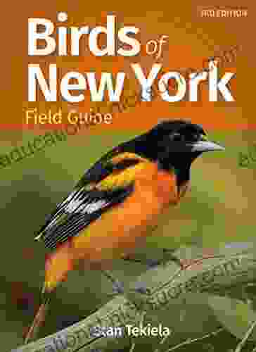 Birds Of New York Field Guide (Bird Identification Guides)