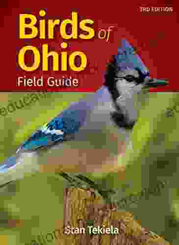 Birds Of Ohio Field Guide (Bird Identification Guides)