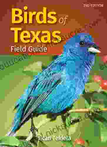 Birds Of Texas Field Guide (Bird Identification Guides)