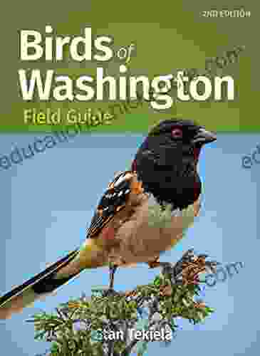 Birds Of Washington Field Guide (Bird Identification Guides)