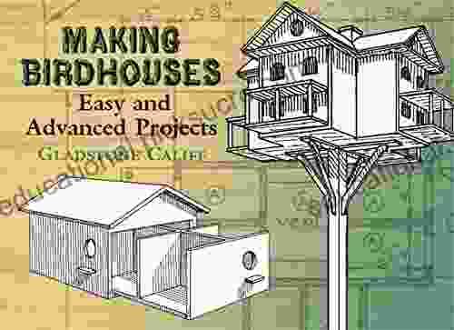 Making Birdhouses: Easy And Advanced Projects (Dover Woodworking)