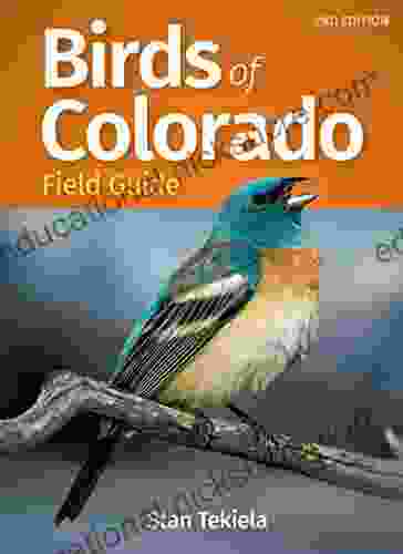 Birds Of Colorado Field Guide (Bird Identification Guides)