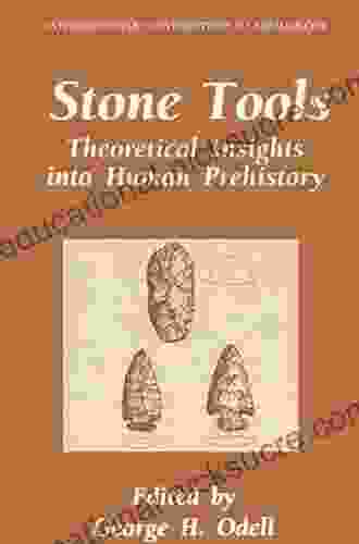 Stone Tools: Theoretical Insights Into Human Prehistory (Interdisciplinary Contributions To Archaeology)