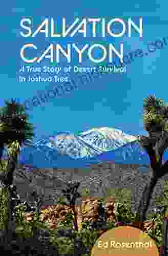 Salvation Canyon: A True Story Of Desert Survival In Joshua Tree
